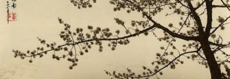 Acupuntor Masaje Shiatsu – Madrid