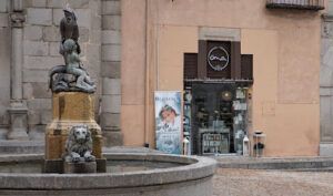 Ana El Arte de la Belleza Natural Clínica Reducción Corporal en Segovia