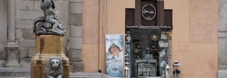 Ana El Arte de la Belleza Natural – Segovia