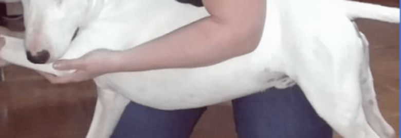 Centro Feeling Osteopatía y Fisioterapia