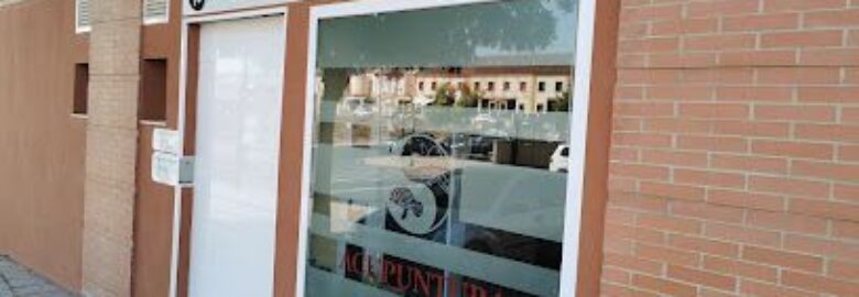 Centro Fenix Acupuntura