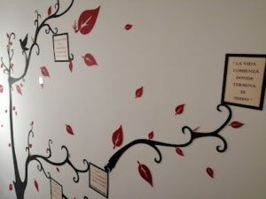 Centro Magno terapias Alternativas y Naturales Masaje Shiatsu en Alicante (Alacant)