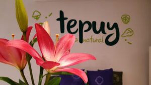 Centro Tepuy Reflexología en Santa Cruz de Tenerife