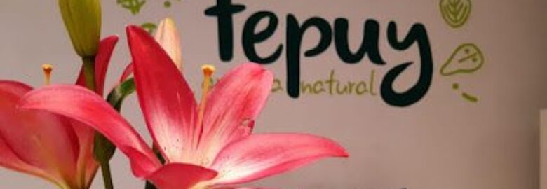 Centro Tepuy
