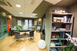 Cirugía Plástica y Estética | Dra Concepción Pinilla Lozano Coolsculpting en Zaragoza