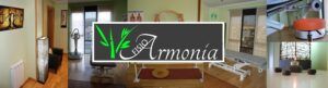 Clínica de Fisioterapia Armonía Masajes Terapeuticos en Ávila