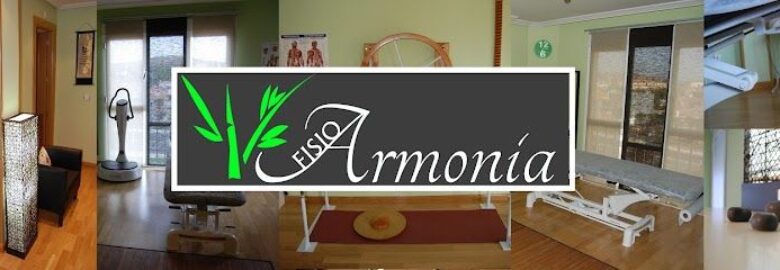 Clínica de Fisioterapia Armonía – Ávila