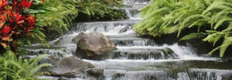 Clínica Dra Ana Escapa – Palencia