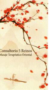 Consultorio 5 Reinos - Masajes MTC Masajes Terapeuticos en Valencia