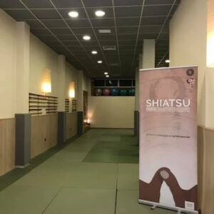 Escuela Japonesa de Shiatsu Av. Granada Masaje Shiatsu en Jaén