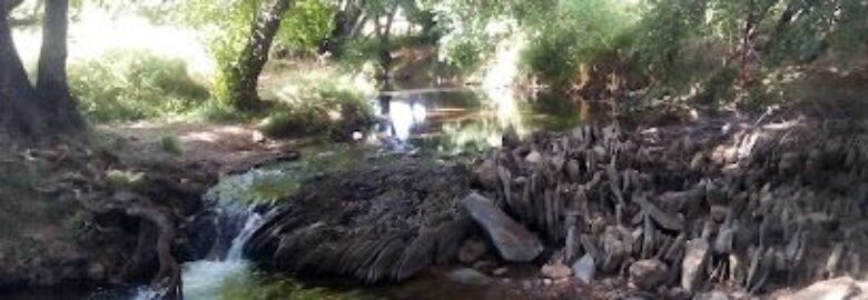 Masaje y bienestar – Almendralejo