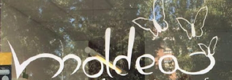 Moldea Estética – Pamplona