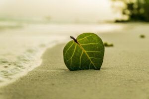 Naturogea Reflexología en Sevilla