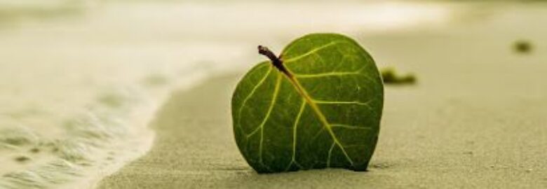 Naturogea – Sevilla