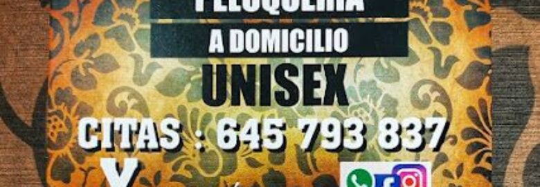 Peluquería a domicilio unisex – Huesca