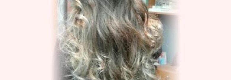 Peluquería Ludy – Palencia