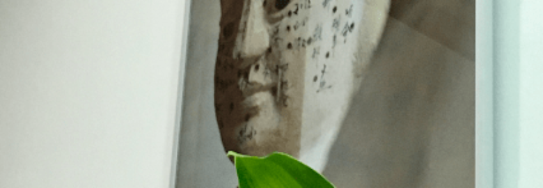 PUNTOS de Salud – Acupuntura y Medicina China – Palma