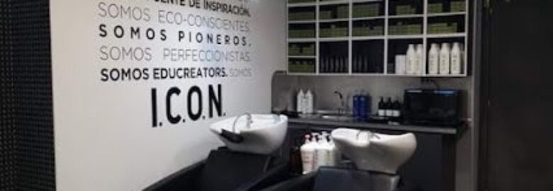 Salón Peluquería Mónica Alonso – Pontevedra