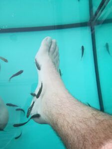 Sanlúcar Fish Spa Masaje con Cañas de Bambú en Sanlúcar de Barrameda