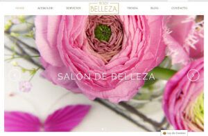 tedoybelleza Mesoterapia en Salamanca