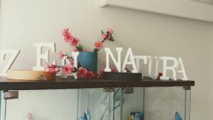 Zen Natura Terapias Naturales Reflexología en Gijón
