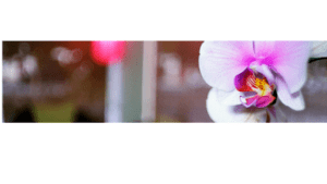 Zenkei Masaje Shiatsu en Majadahonda